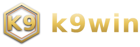 k9win logo